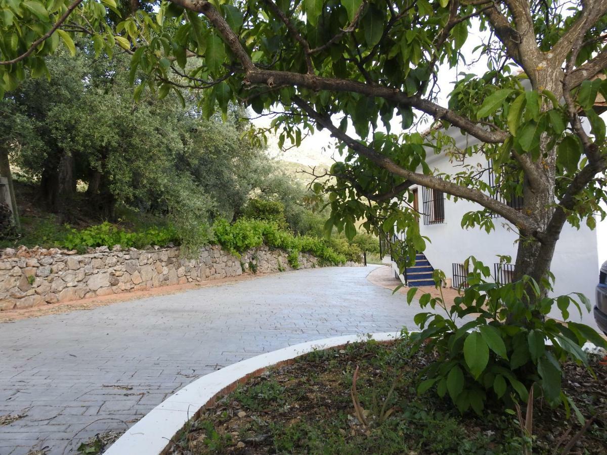 Casa De Los Alamos Periana Buitenkant foto